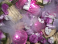 /album/galeria-de-fotos/imagem-196-jpg/